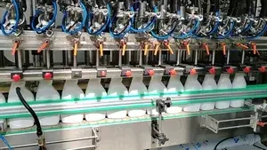 Haushaltschemie-Abfülllinien-Projekt