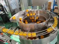 Automatische Schnappverschließmaschine